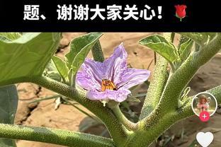 打得太难受！孙铭徽首节6中1拿到6分